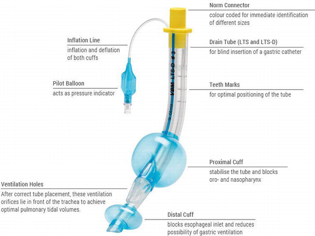 Medical PVC balloon on larynx-esophagus